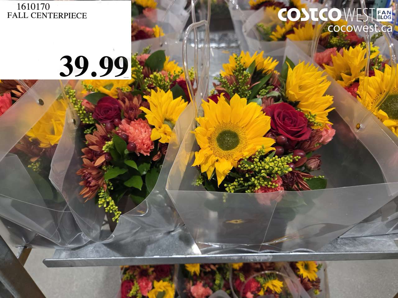 1610170 FALL CENTERPIECE $39.99