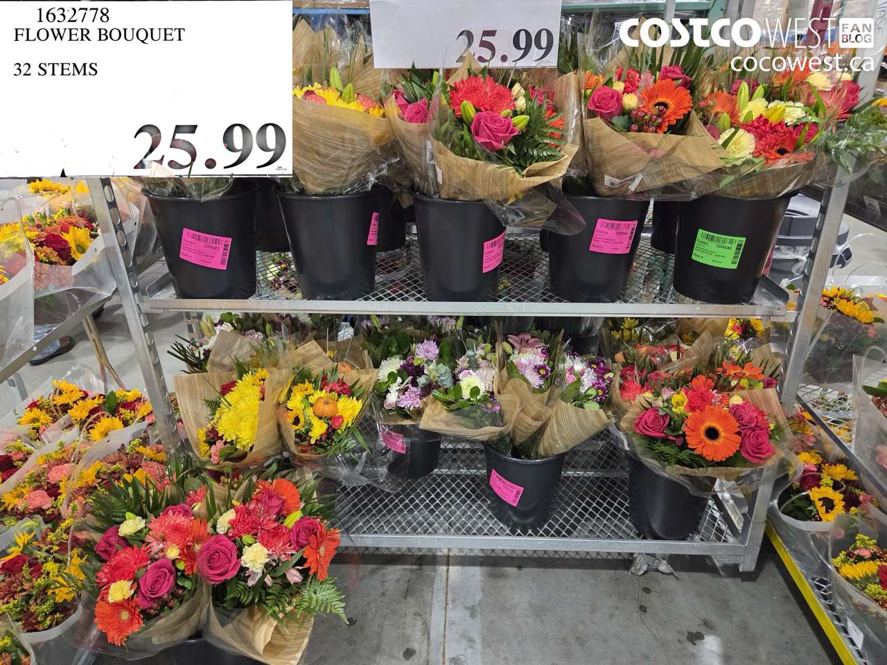 1632778 FLOWER BOUQUET 32 STEMS $25.99