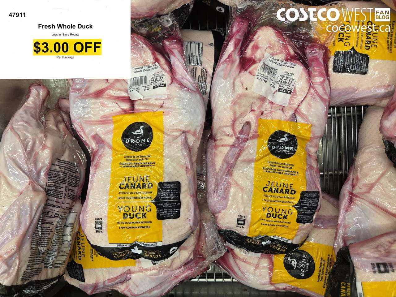47911 FRESH WHOLE DUCK ($3.00 INSTANT SAVINGS)