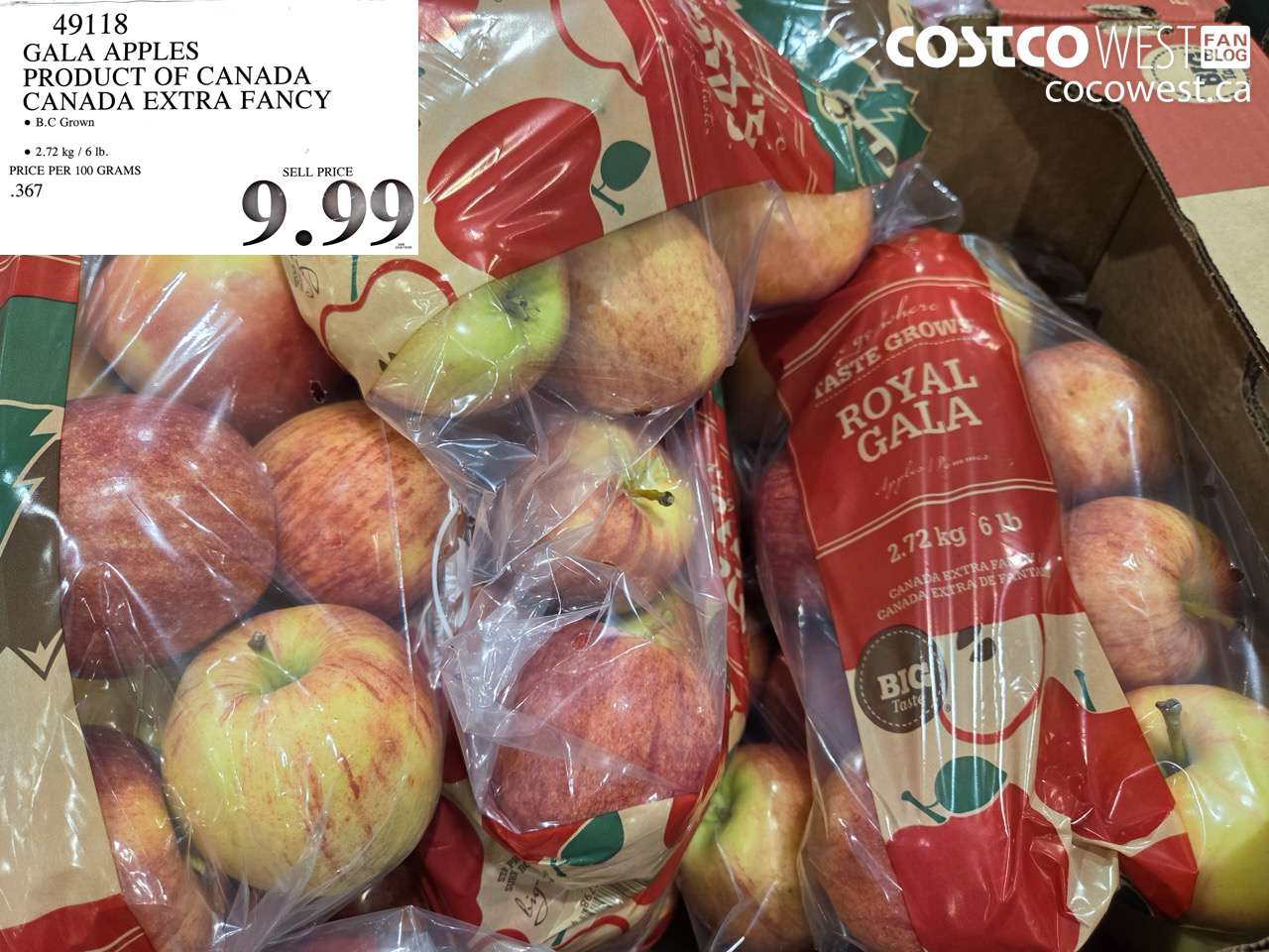 49118 GALA APPLES PRODUCT OF CANADA CANADA EXTRA FANCY $9.99