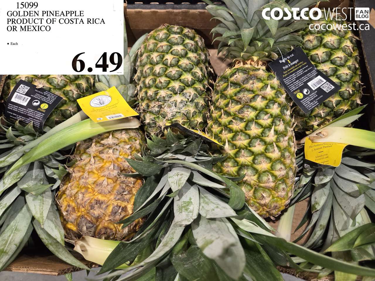 15099 GOLDEN PINEAPPLE PRODUCT OF COSTA RICA OR MEXICO $6.49