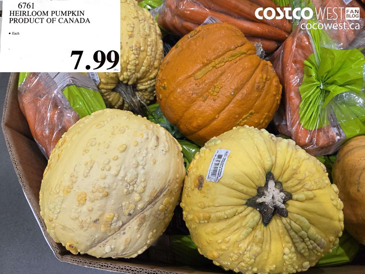 6761 HEIRLOOM PUMPKIN PRODUCT OF CANADA $7.99