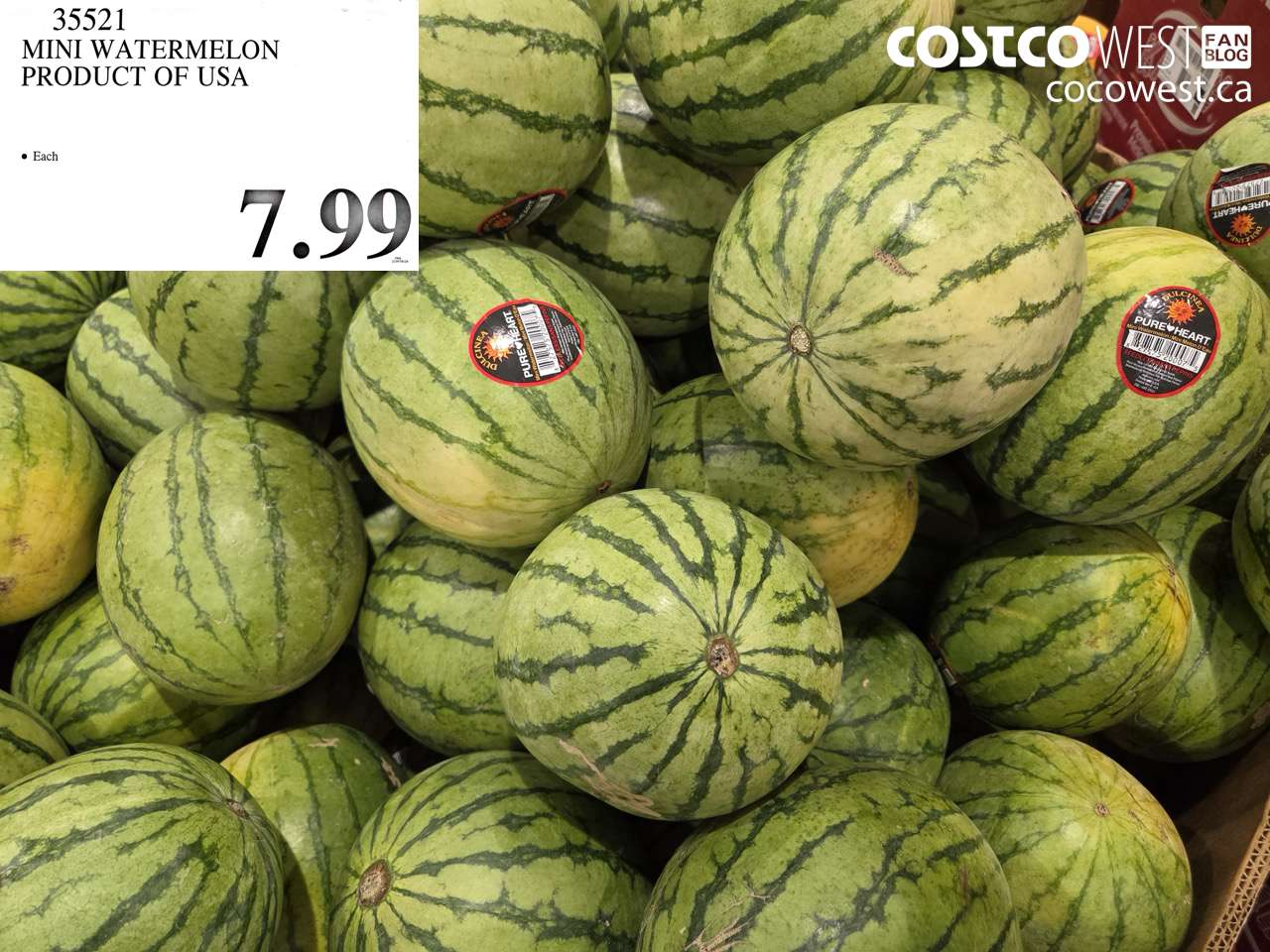 35521 MINI WATERMELON PRODUCT OF USA $7.99