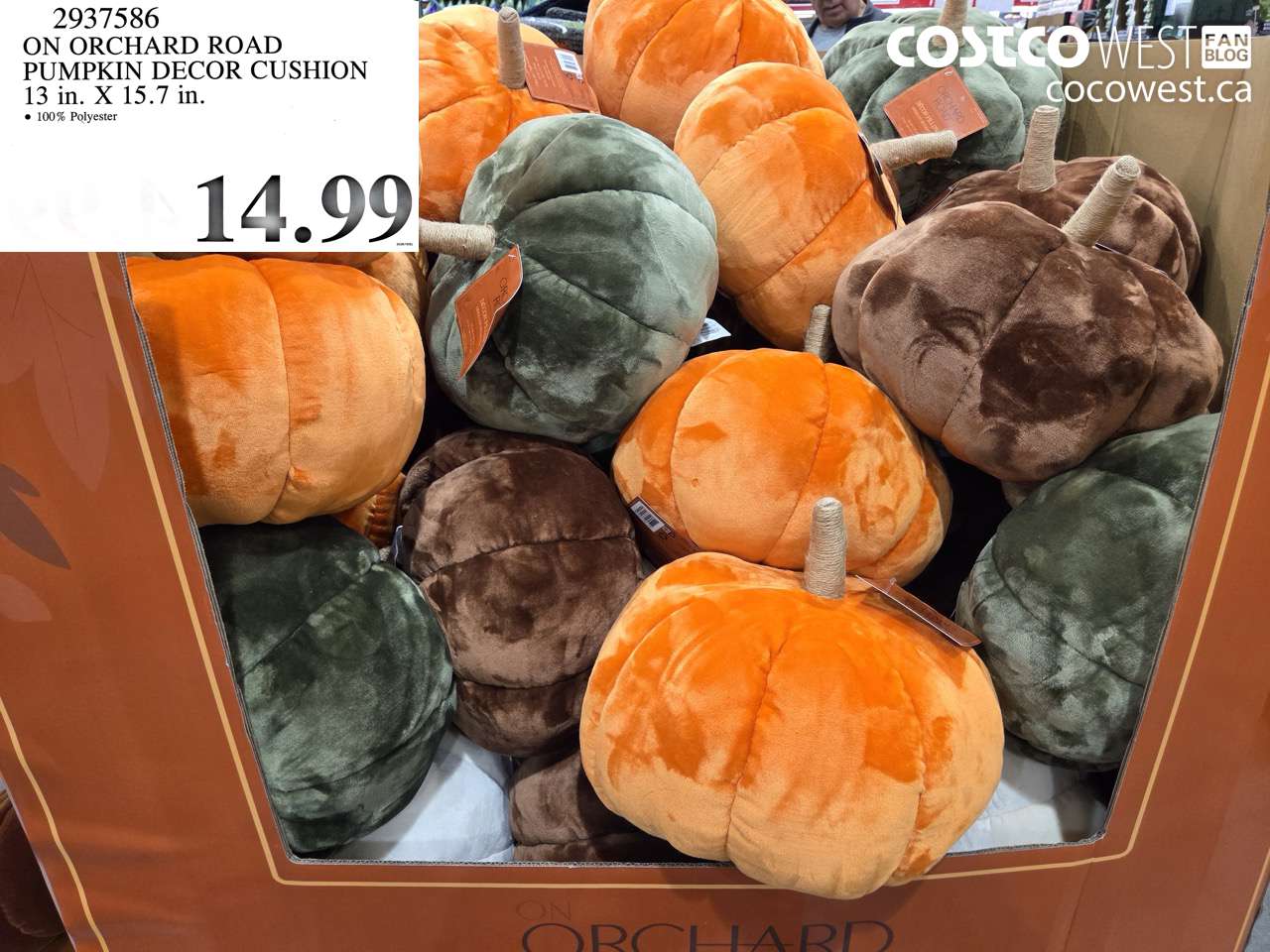 2937586 ON ORCHARD ROAD PUMPKIN DECOR CUSHION 13 IN. X 15.7 IN. $14.99
