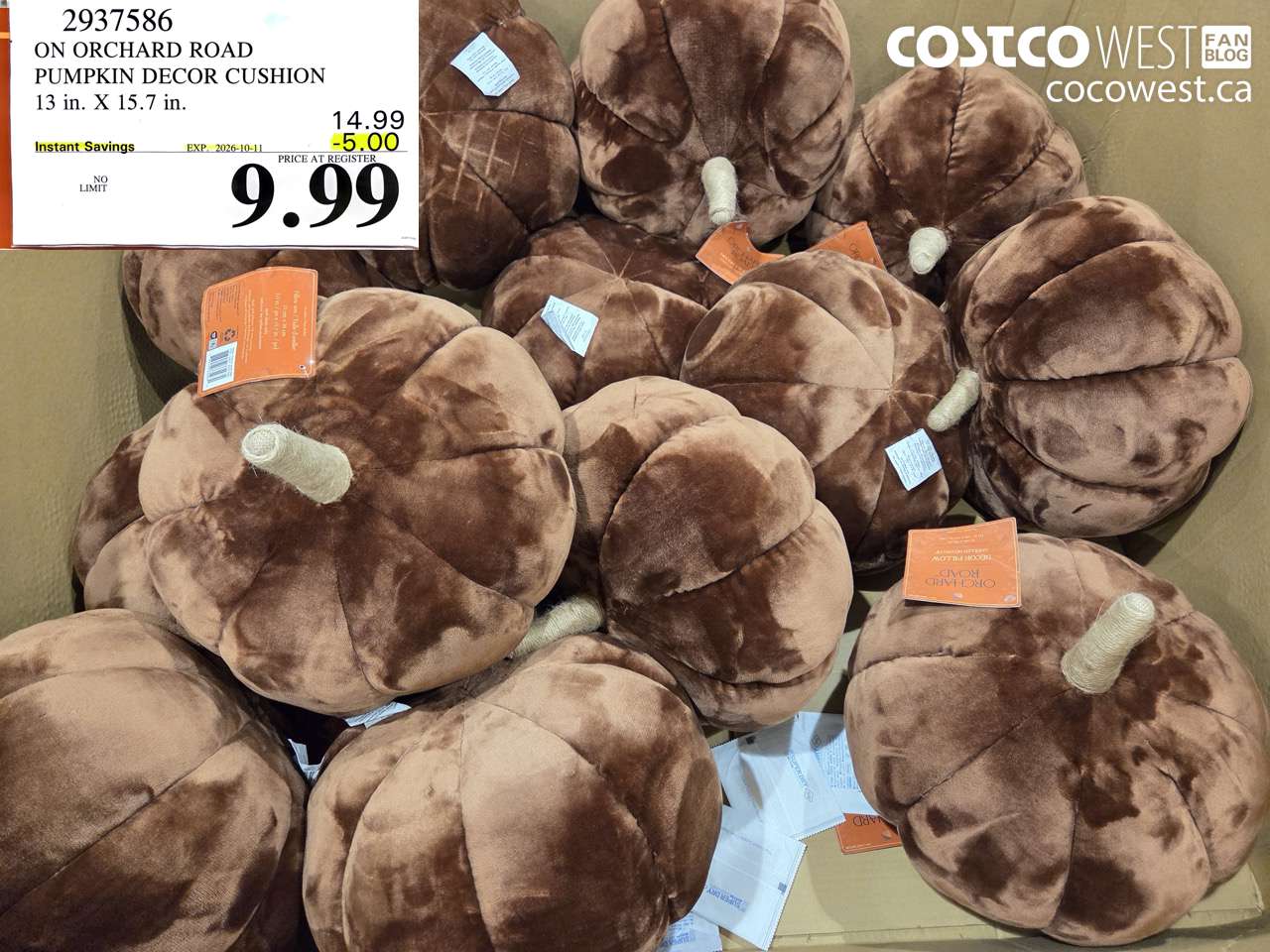 2937586 ON ORCHARD ROAD PUMPKIN DECOR CUSHION 13 IN. X 15.7 IN. ($5.00 INSTANT SAVINGS EXPIRES ON 2026-10-11) $9.99