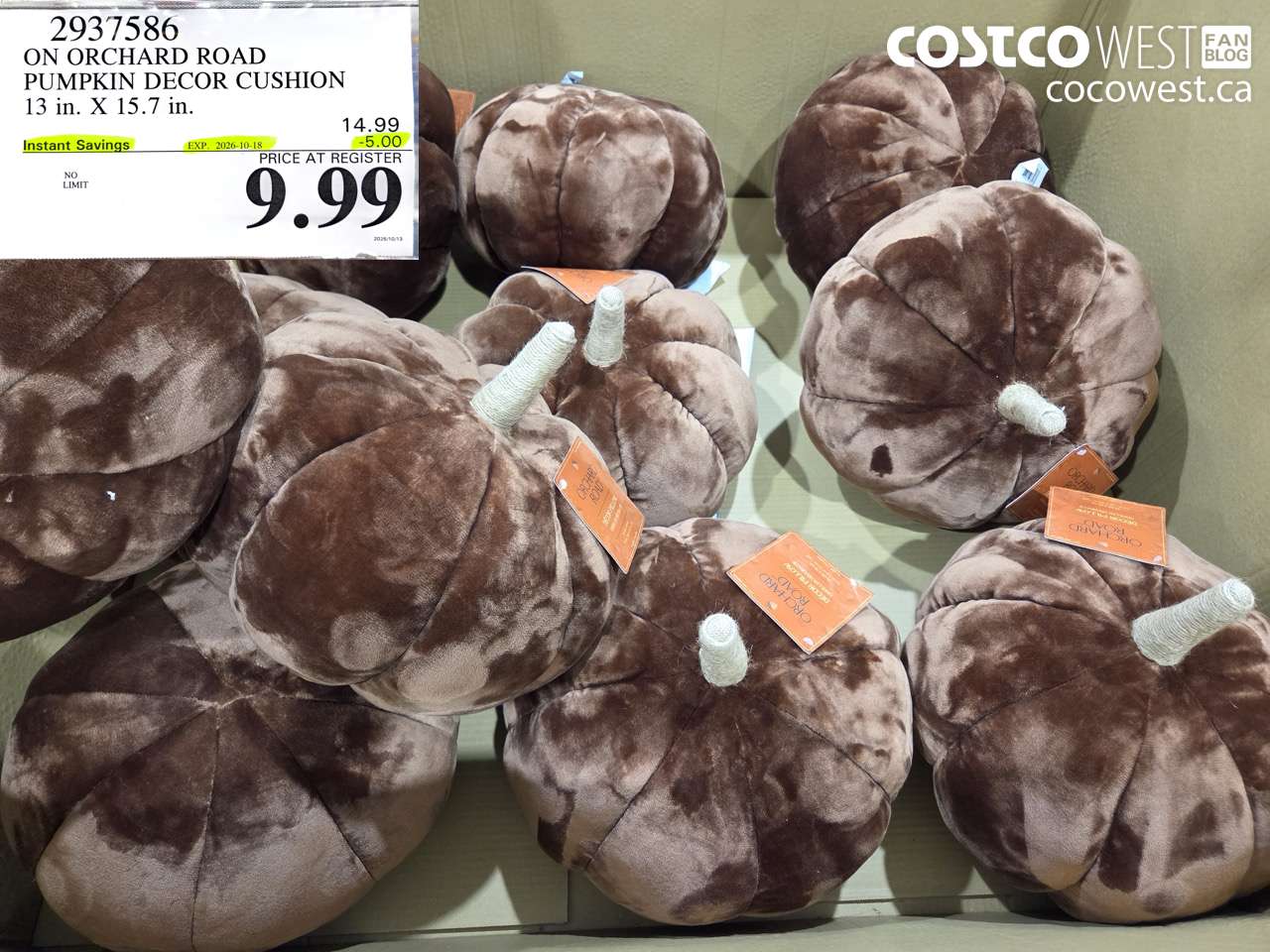 2937586 ON ORCHARD ROAD PUMPKIN DECOR CUSHION 13 IN. X 15.7 IN. ($5.00 INSTANT SAVINGS EXPIRES ON 2026-10-18) $9.99