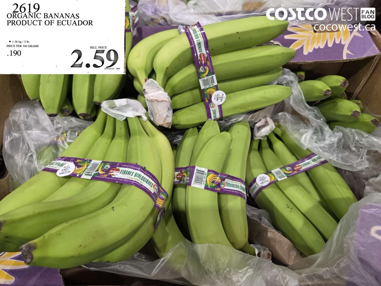 2619 ORGANIC BANANAS PRODUCT OF ECUADOR $2.59