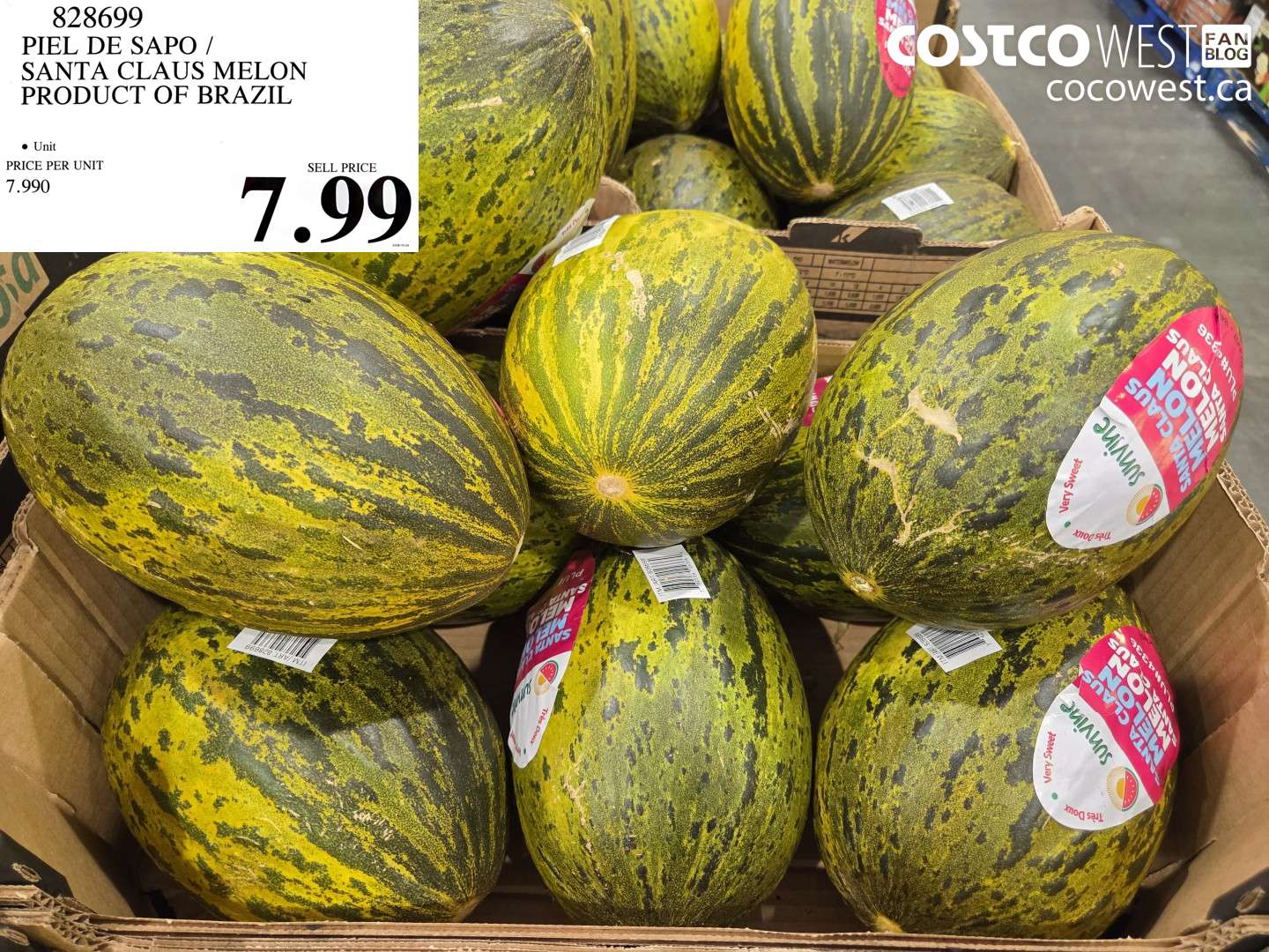 828699 PIEL DE SAPO / SANTA CLAUS MELON PRODUCT OF BRAZIL $7.99