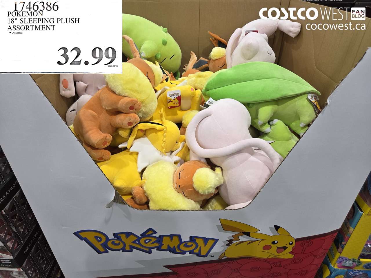 1746386 POKEMON 18
