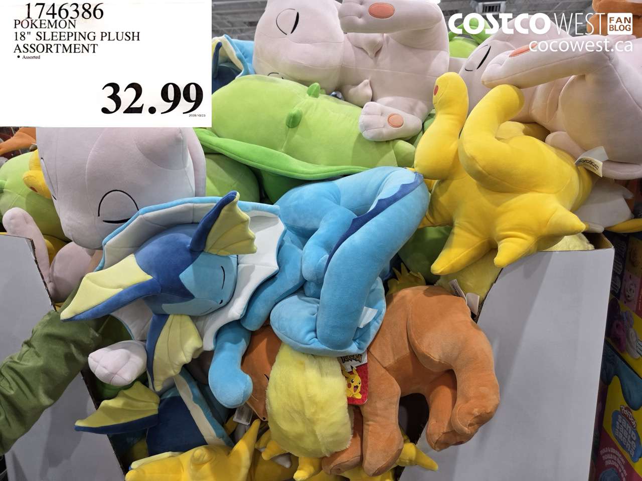 1746386 POKEMON 18