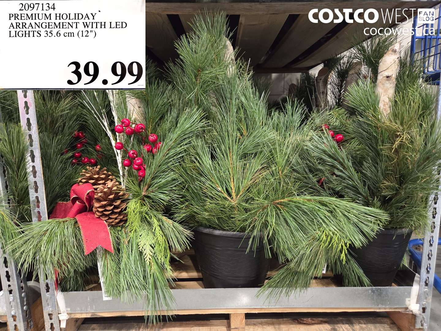 2097134 PREMIUM HOLIDAY ARRANGEMENT WITH LED LIGHTS 35.6 CM (12