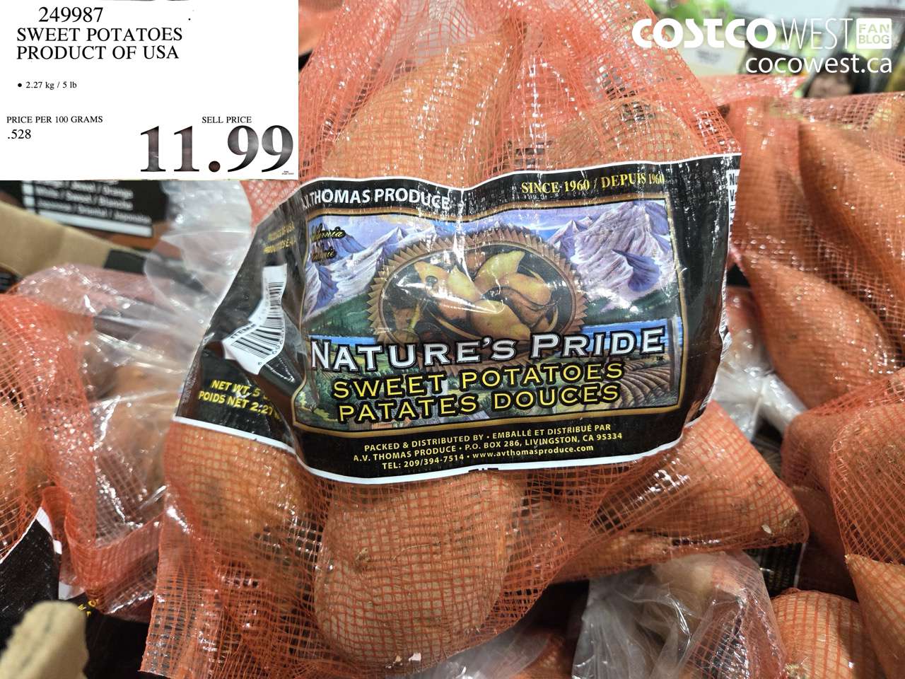 249987 SWEET POTATOES PRODUCT OF USA $11.99