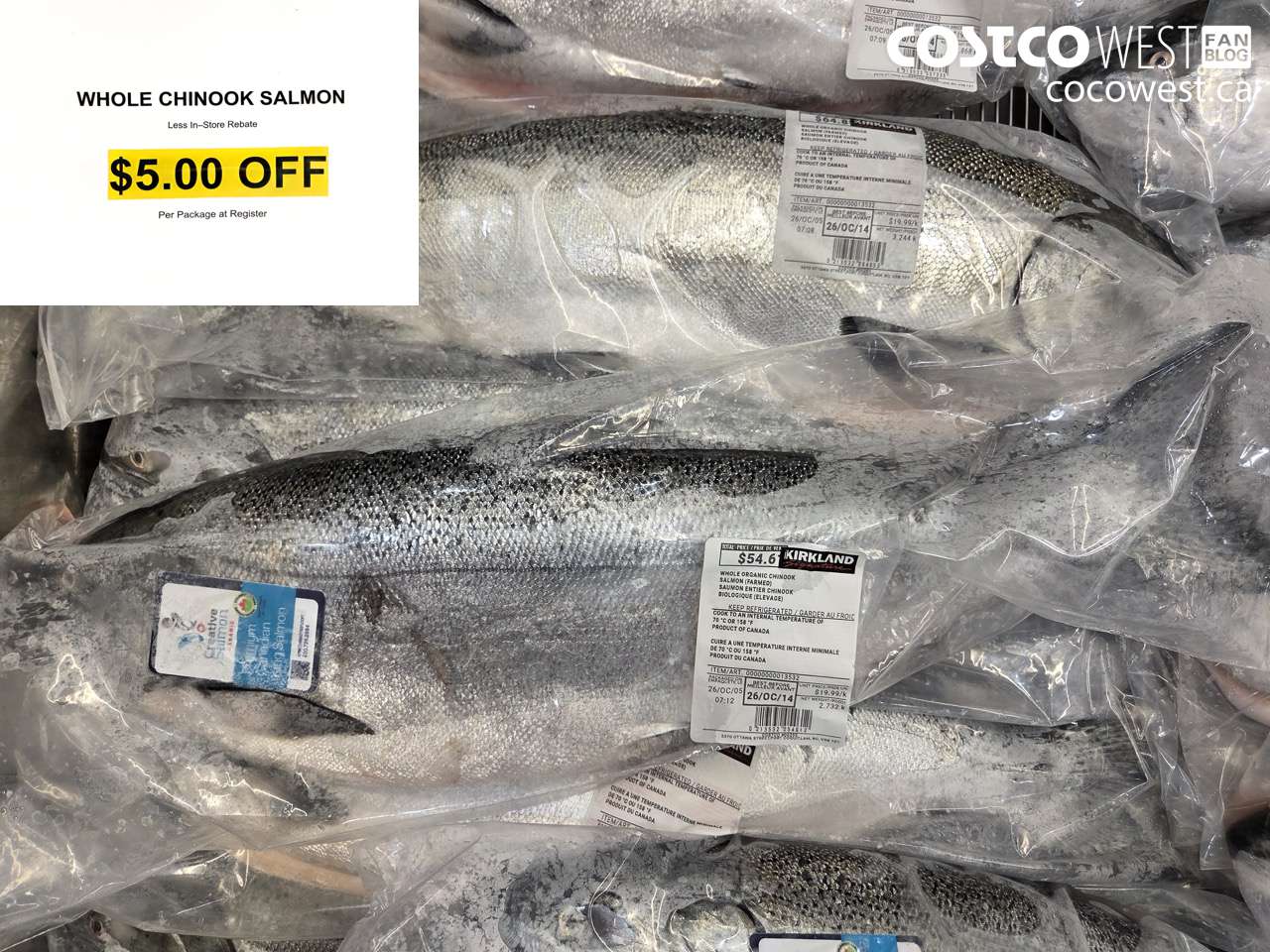 13532 WHOLE CHINOOK SALMON ($5.00 INSTANT SAVINGS)