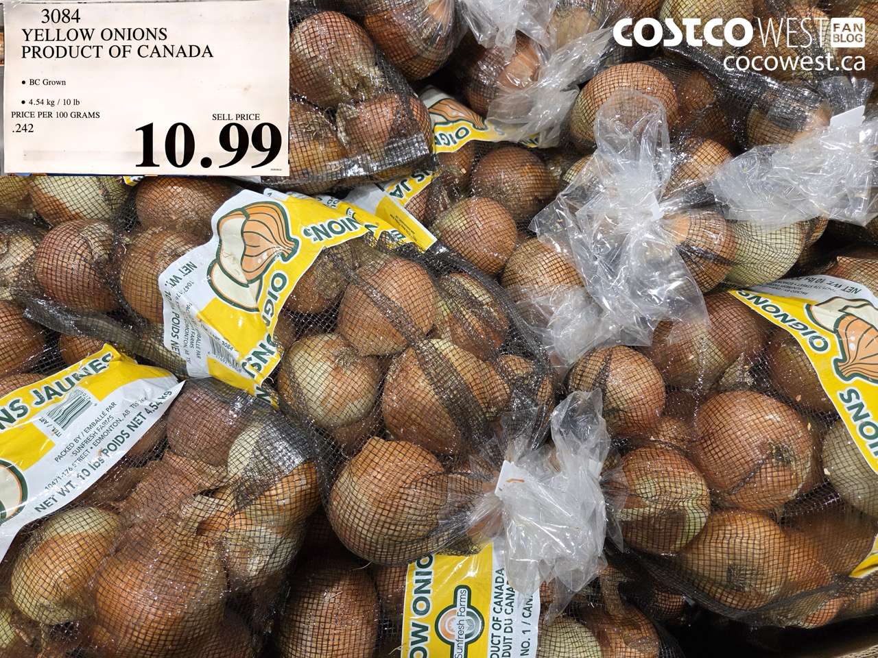 3084 YELLOW ONIONS PRODUCT OF CANADA $10.99