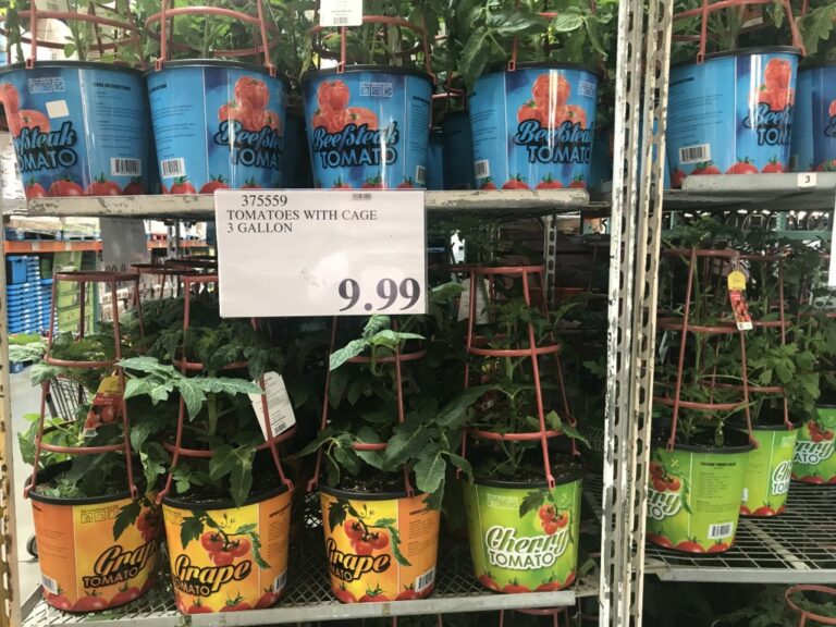 Costco Garden Centre Deals Costco West Fan Blog