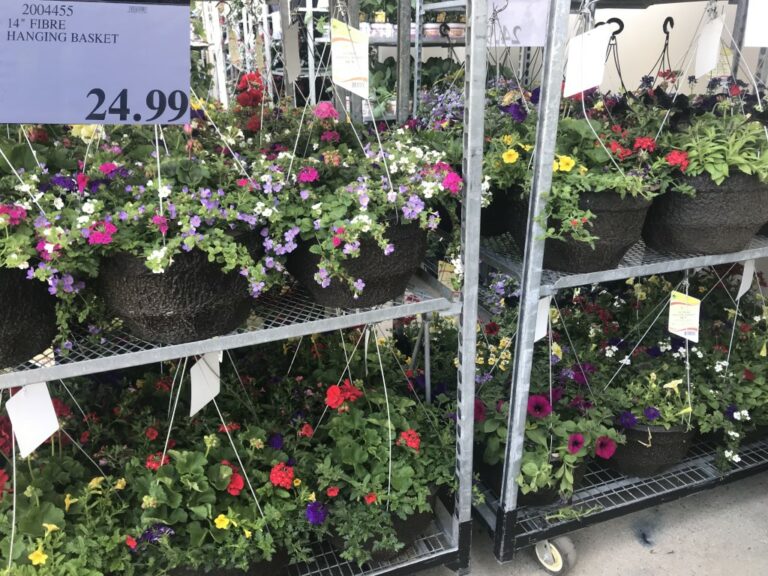 Costco Garden Centre Deals Costco West Fan Blog