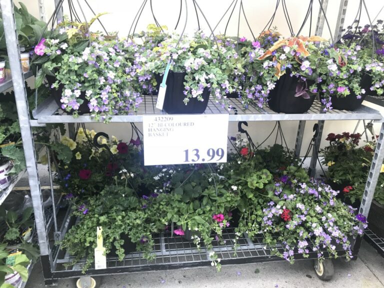Costco Garden Centre Deals Costco West Fan Blog