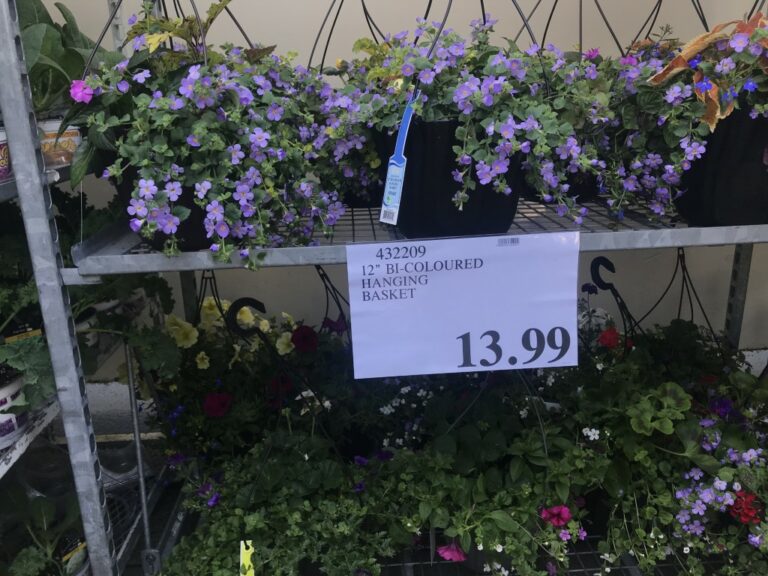 Costco Garden Centre Deals Costco West Fan Blog