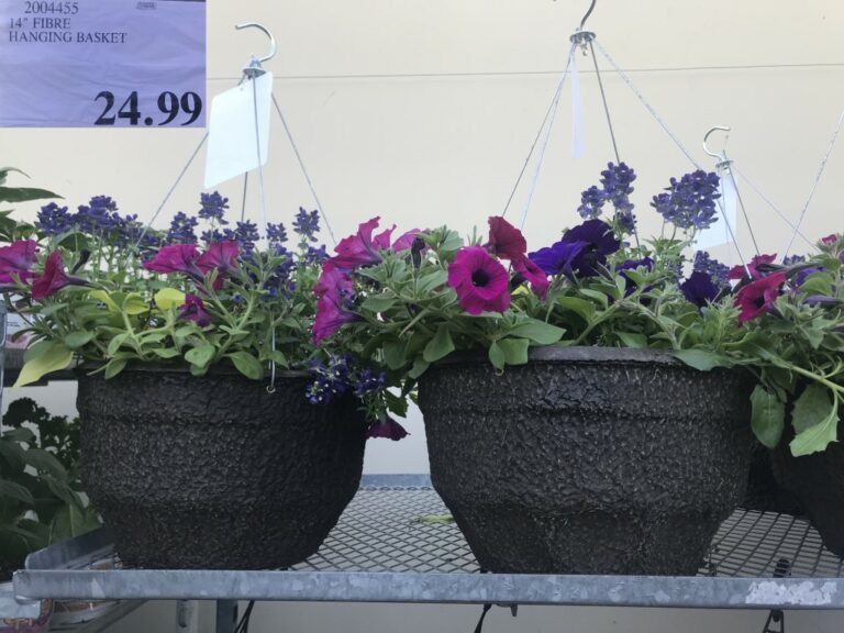 Costco Garden Centre Deals Costco West Fan Blog