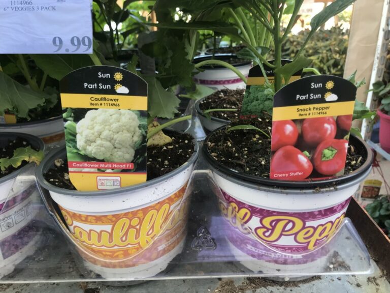 Costco Garden Centre Deals Costco West Fan Blog