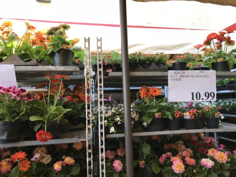 Costco Garden Centre Deals Costco West Fan Blog