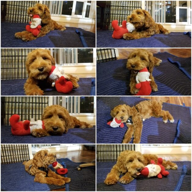 Mistake Post Huggies Diapers, Huggies Pullups, Kirkland Formula