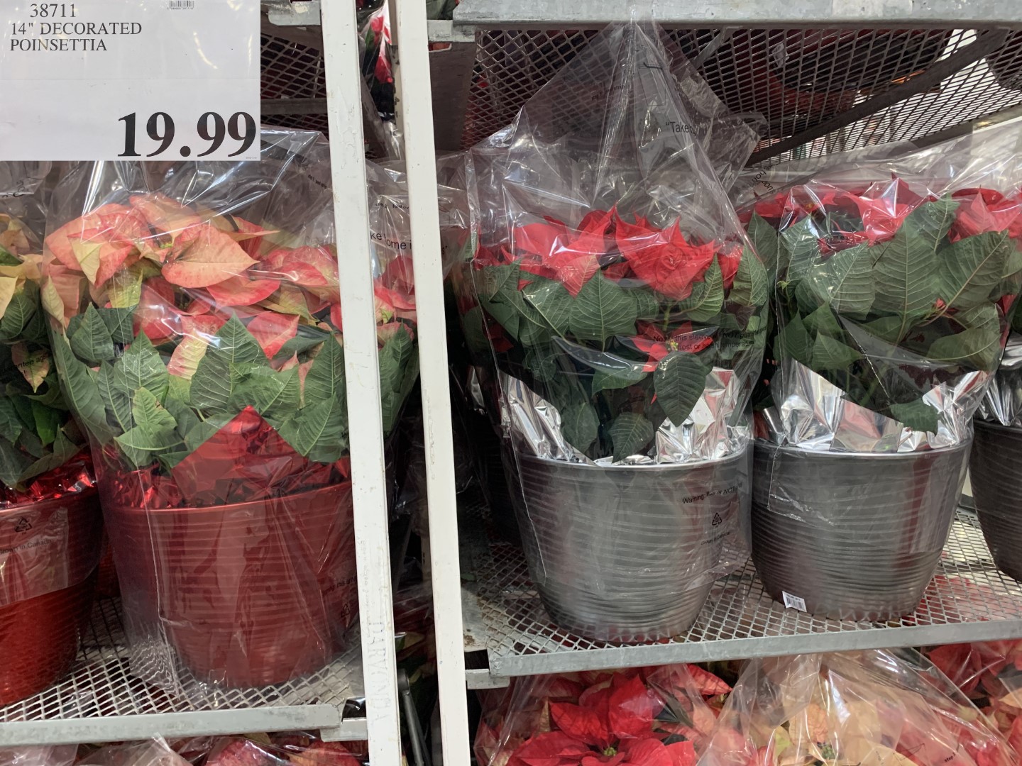 Costco Fall Aisle 2019 Superpost! Christmas Trees, Lights, Decorations
