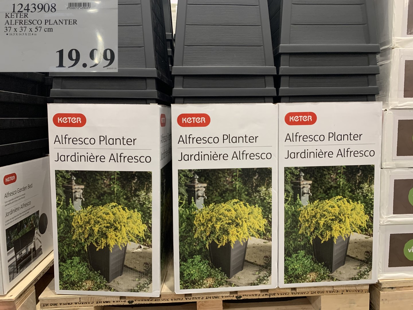 costco keter alfresco garden bed