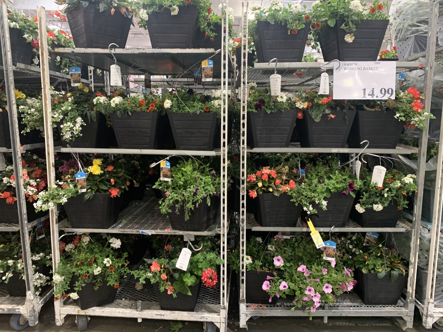 Costco Spring Aisle 2020 Superpost! Home, Garden & Plants - Costco West