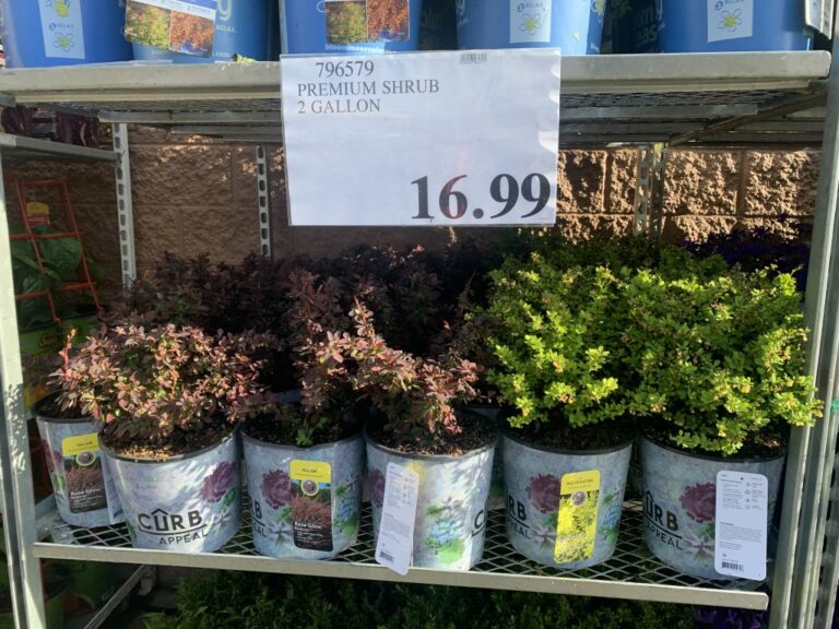 New Weekend Update & Garden Centre Open! Costco Sale Items for May 1
