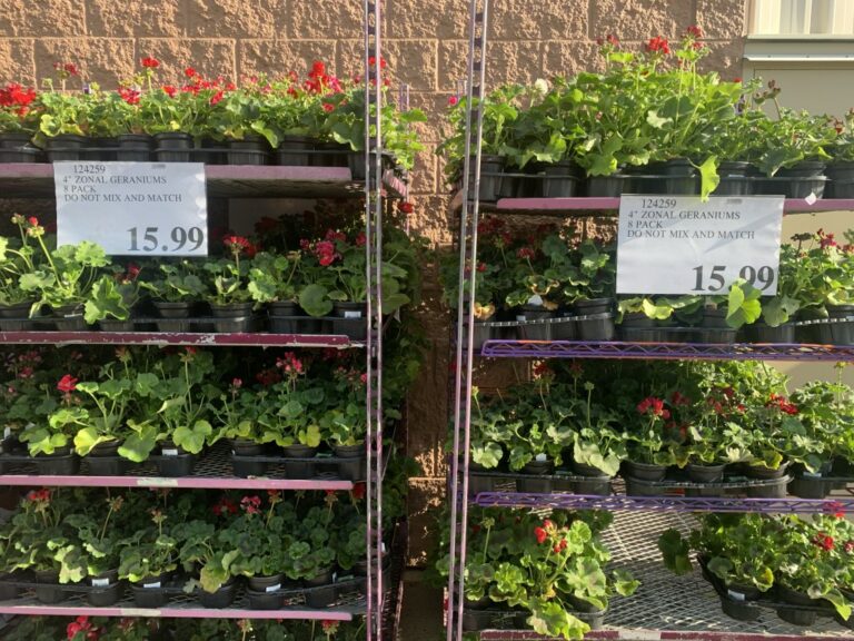 New Weekend Update & Garden Centre Open! Costco Sale Items for May 1