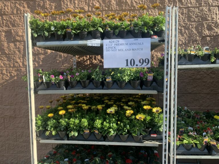 New Weekend Update & Garden Centre Open! Costco Sale Items for May 1