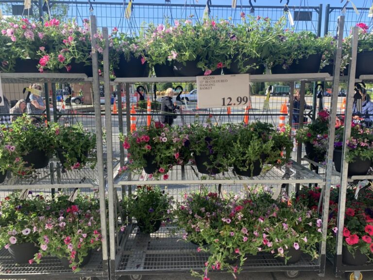 New Weekend Update & Garden Centre Open! Costco Sale Items for May 1