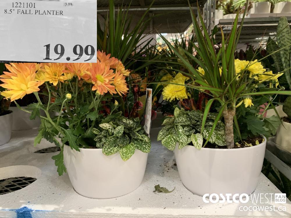 1221101 8.5" FALL PLANTER 19.99 