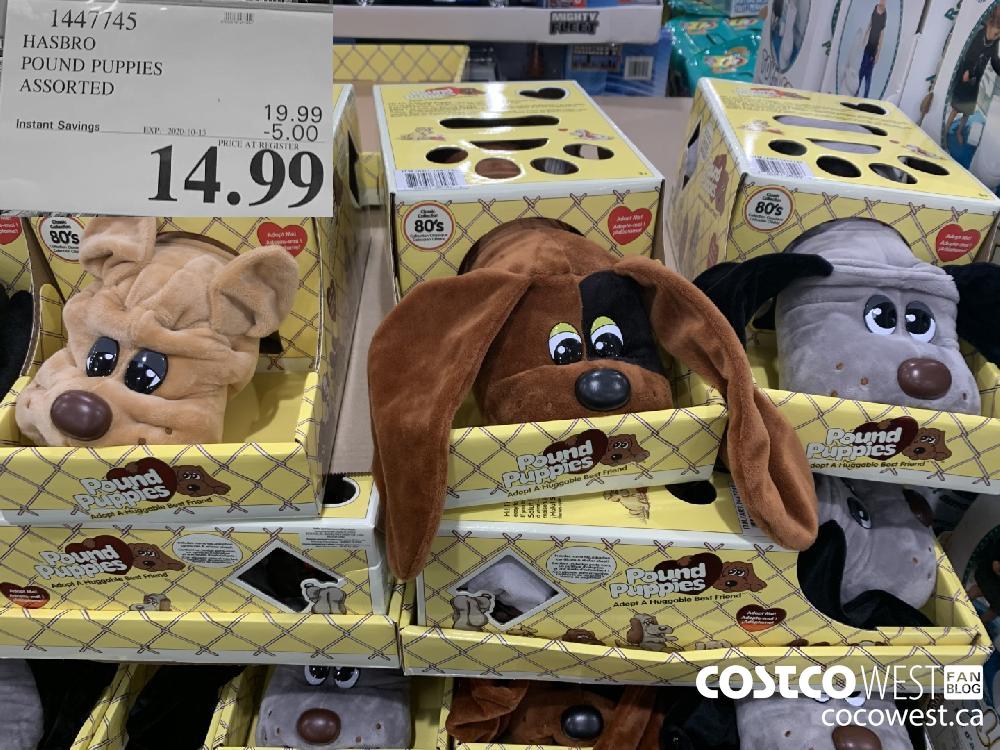 1447745 HASBRO POUND PUPPIES ASSORTED EXP. 2020-10-11 14.99
