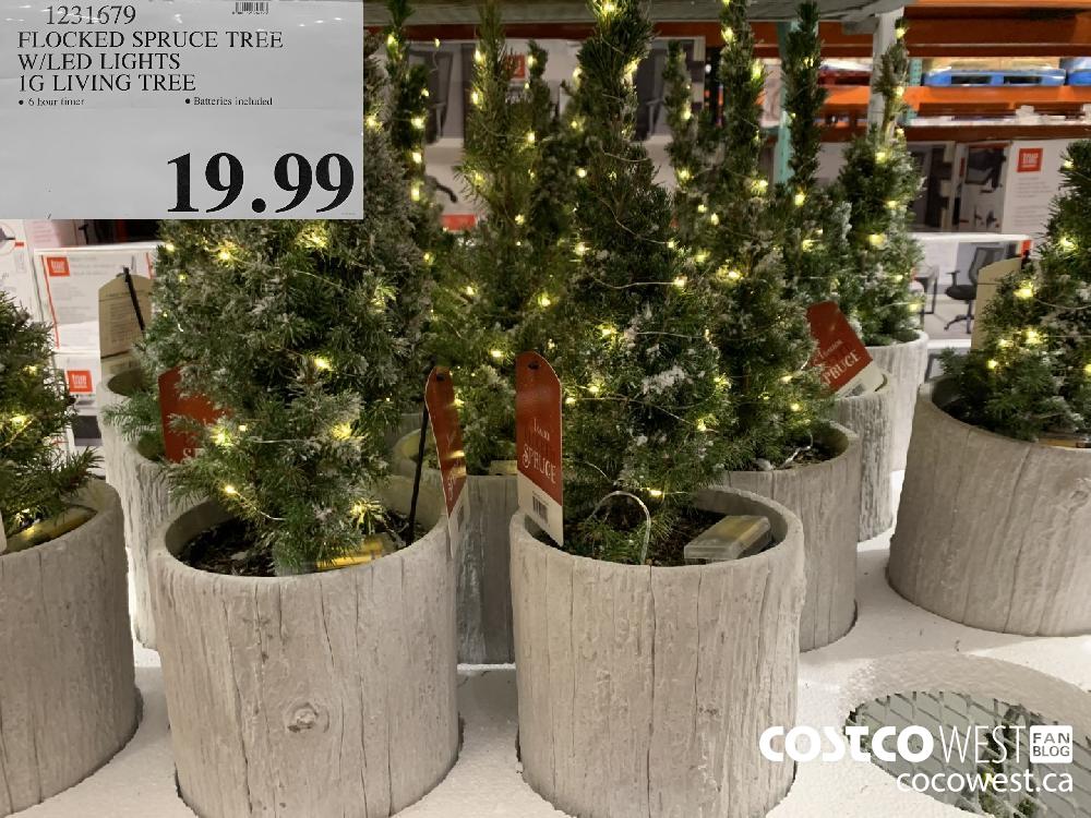 1221679 FLOCKED SPRUCE TREE W/LED LIGHTS 1G LIVING TREE 19.99