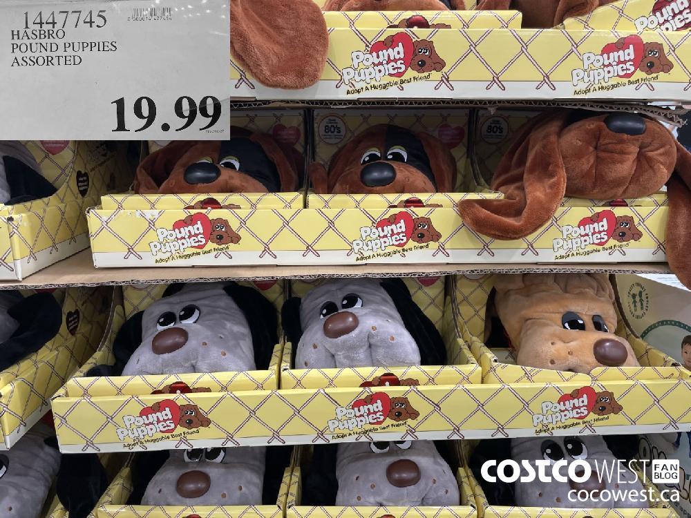 1447745 HASBRO POUND PUPPIES ASSORTED $19.99