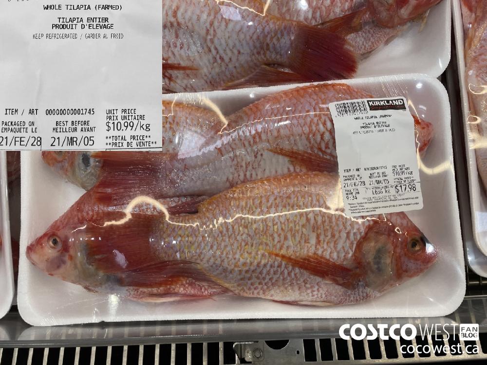 1745 WHOLE TILAPIA (FARMED)