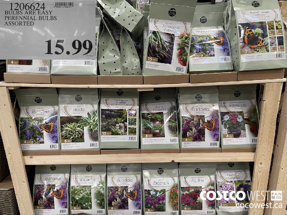 1206624 BULBS ARE EASY PERENNIAL BULBS ASSORTED $15.99