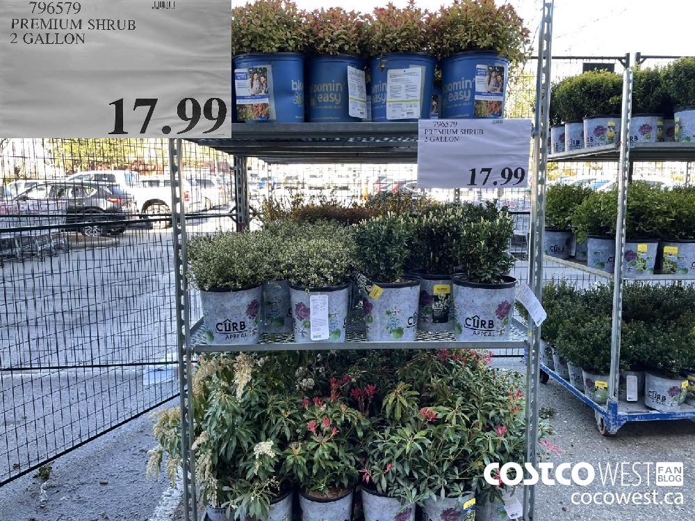 796579 PREMIUM SHRUB 2 GALLON $17.99
