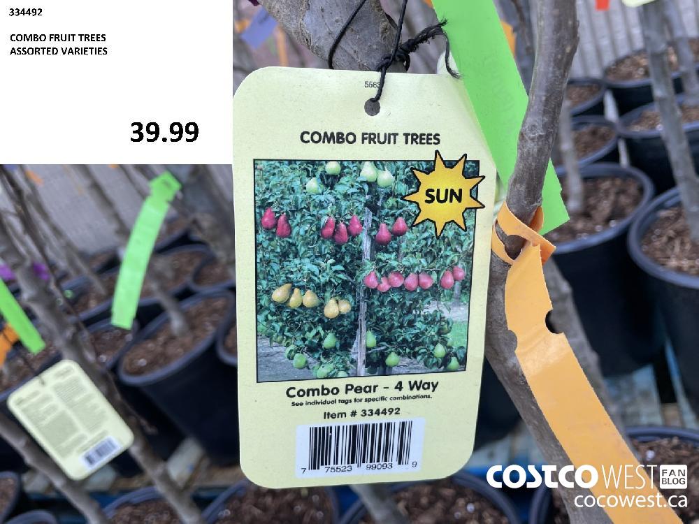 334492 COMBO FRUIT TREES ASSORTED VARIETIES 39.99