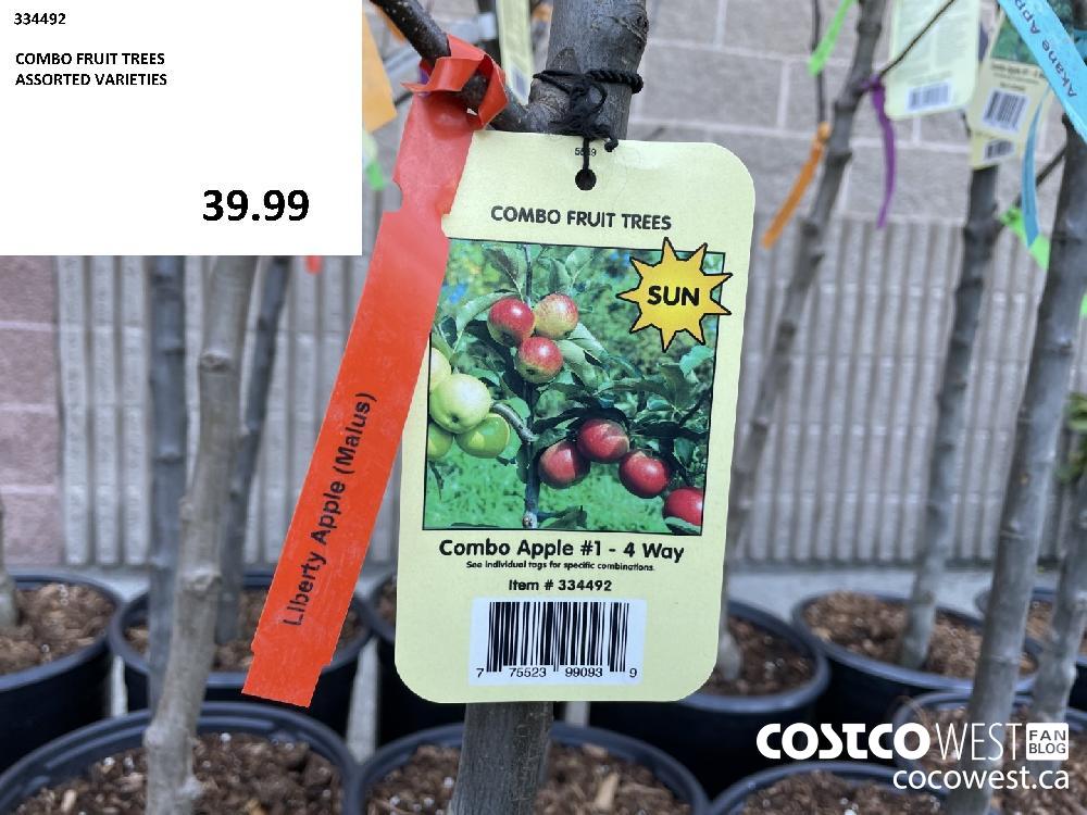 334492 COMBO FRUIT TREES ASSORTED VARIETIES 39.99