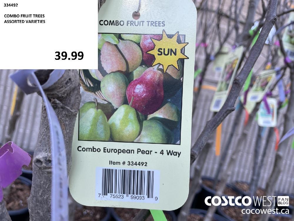 334492 COMBO FRUIT TREES ASSORTED VARIETIES 39.99