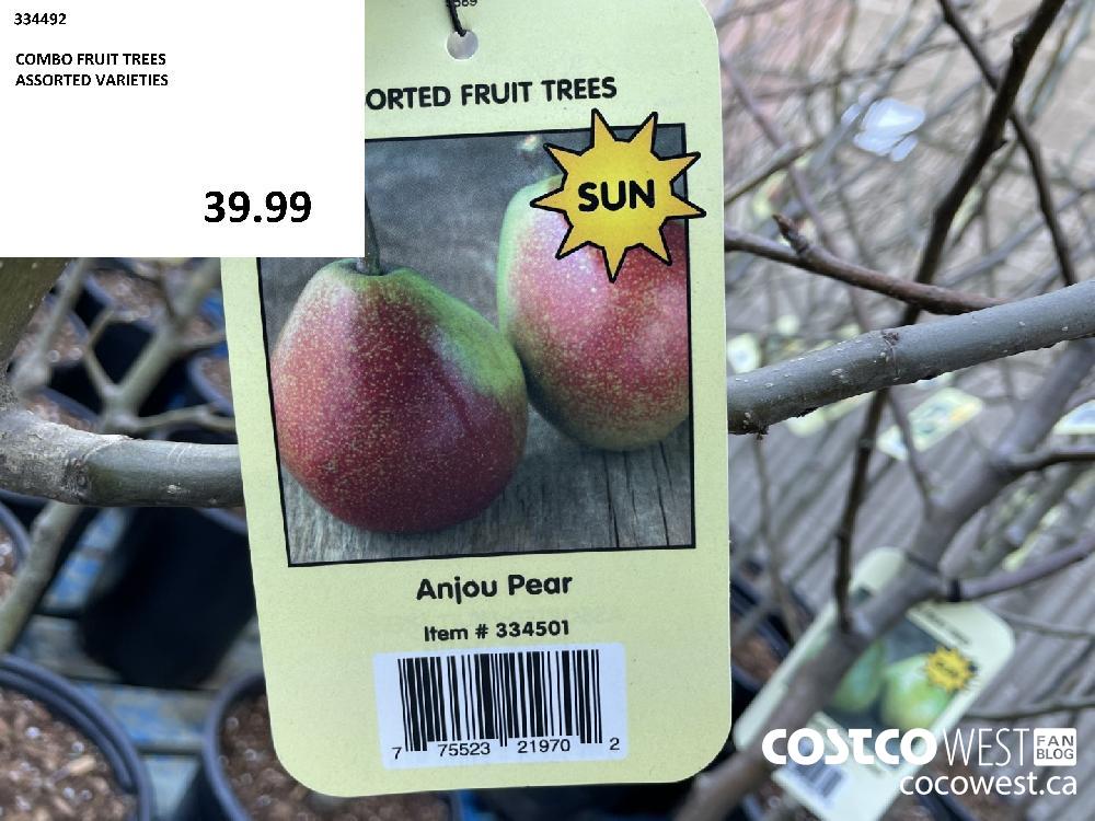 334492 COMBO FRUIT TREES ASSORTED VARIETIES 39.99