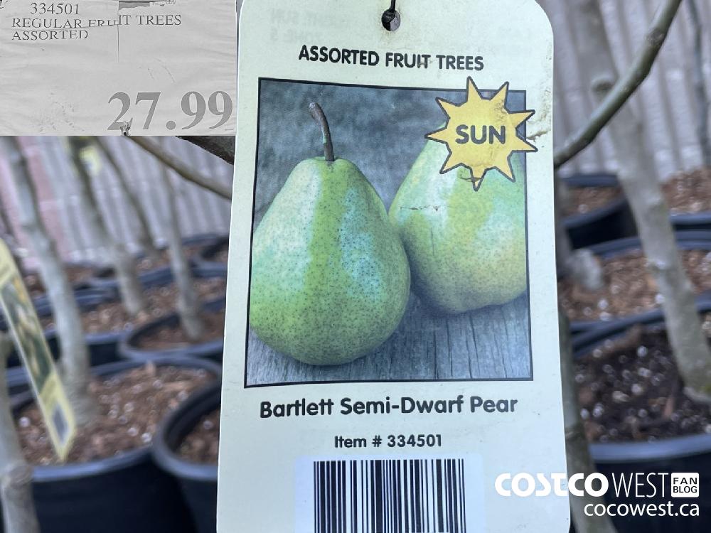 334501 REGULAR FRUIT TREES ASSORTED $27.99