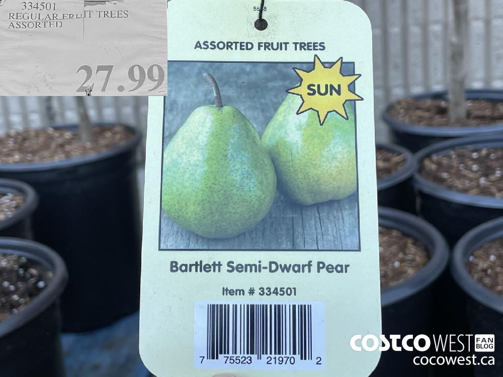 334501 REGULAR FRUIT TREES ASSORTED $27.99