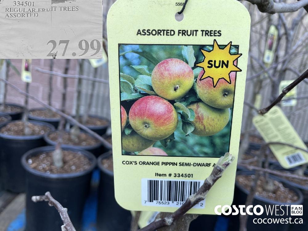 334501 REGULAR FRUIT TREES ASSORTED $27.99