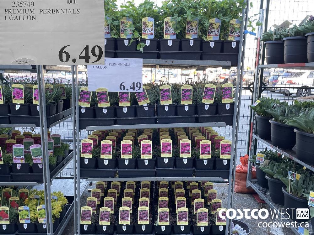235749 PREMIUM PERENNIALS 1 GALLON $6.49