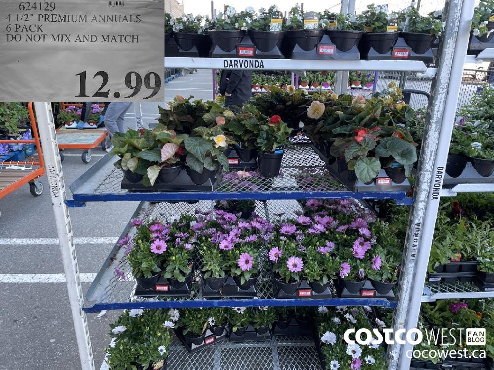 624129 4 1/2" PREMIUM ANNUALS 6 PACK DO NOT MIX AND MATCH $12.99