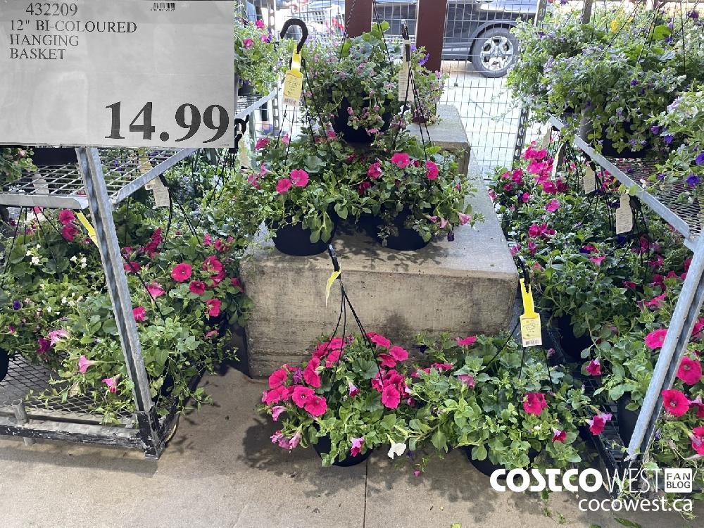 Costco Spring Aisle 2021 Superpost! The Entire Plants and Garden